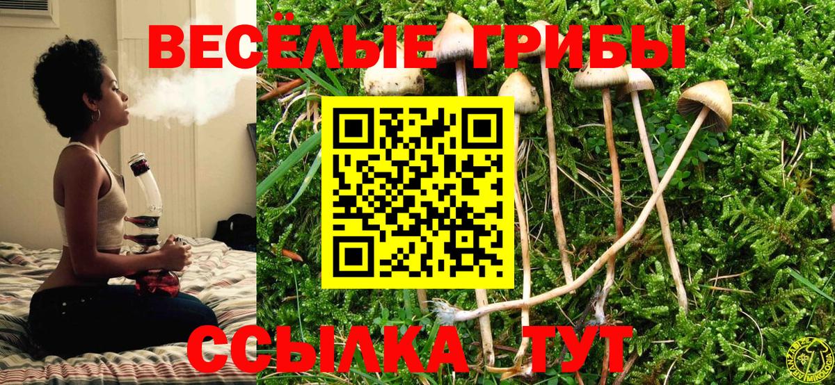 магазин продажи наркотиков  Галлюциногенные грибы ЛСД  Туймазы  Вход с VPN  Псилоцибиновые грибы ЛСД 